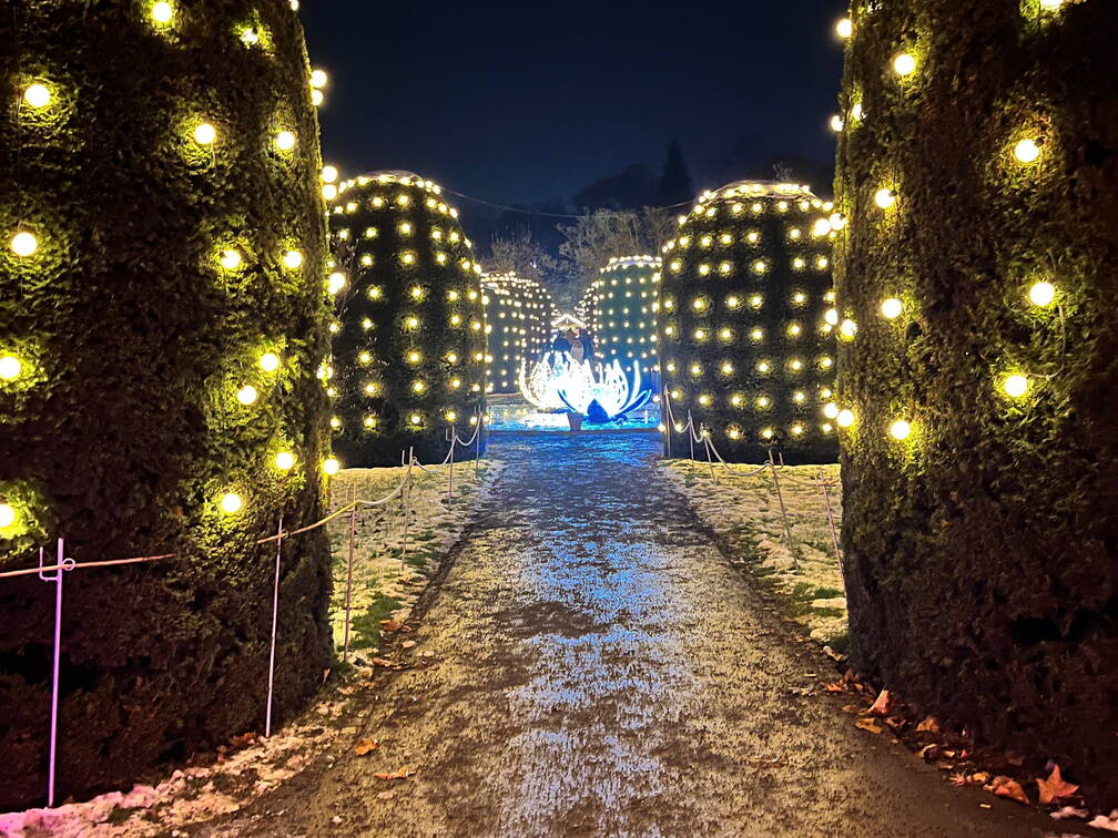 22-12-19 20-00-07 3682